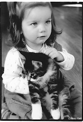 Gryffen & Growl Tiger